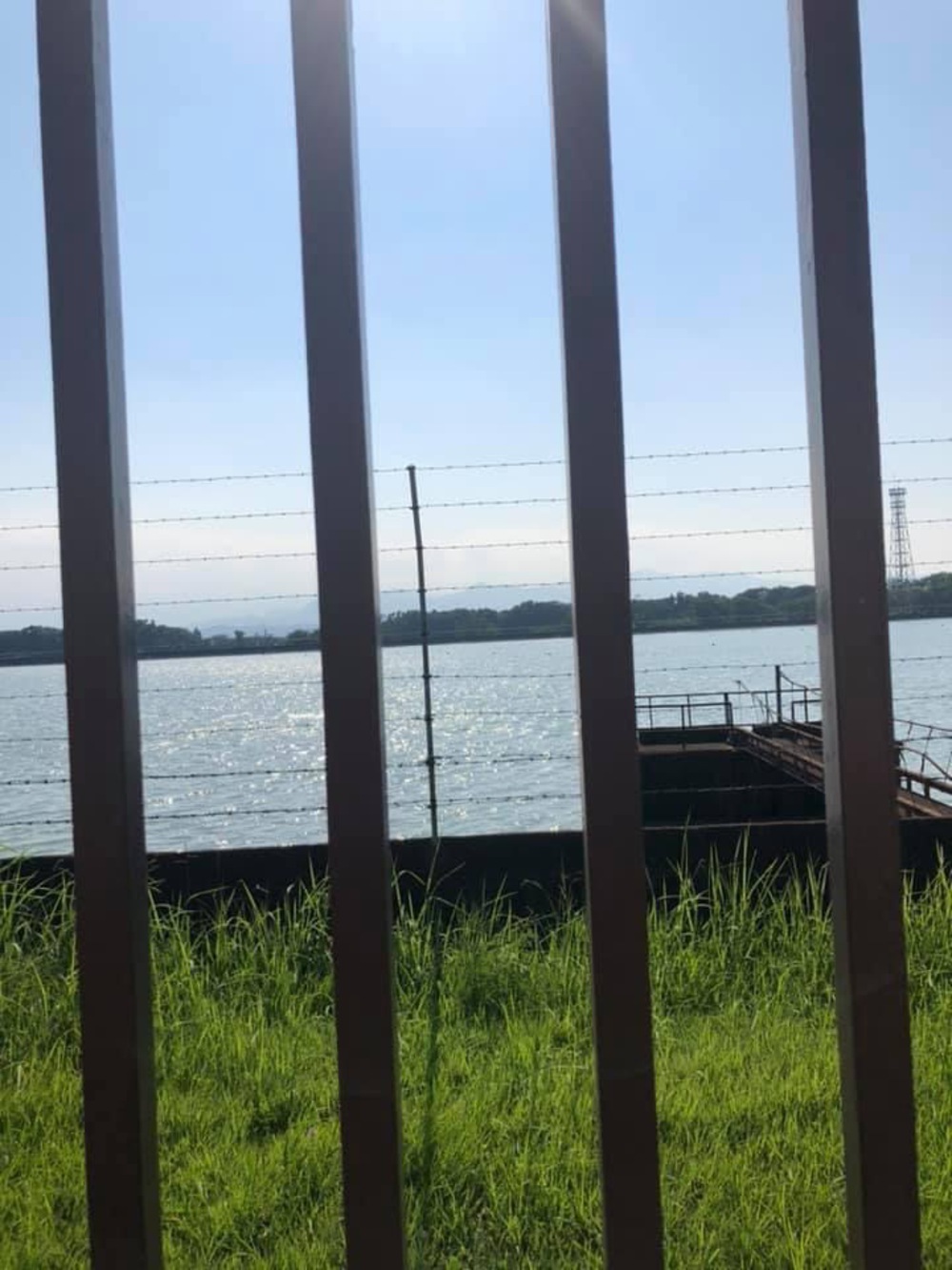 上溝〜県立相模原公園〜古淵の写真9