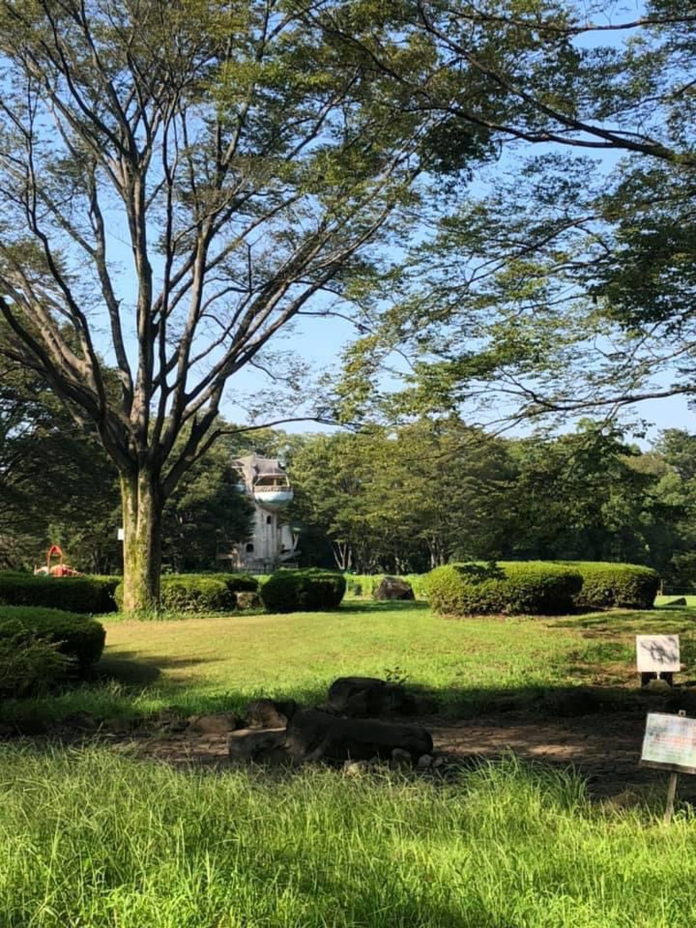 上溝〜県立相模原公園〜古淵の写真10