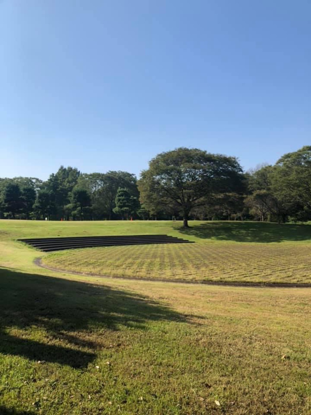 上溝〜県立相模原公園〜古淵の写真11