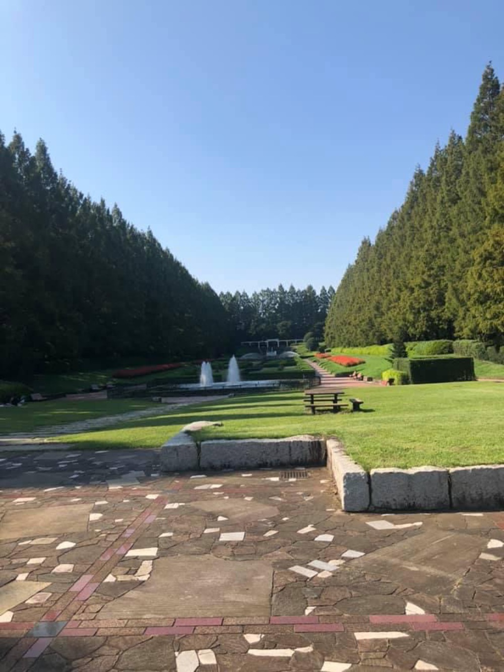 上溝〜県立相模原公園〜古淵の写真13