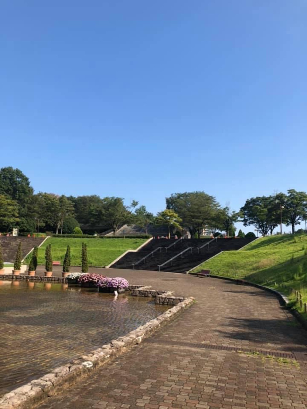 上溝〜県立相模原公園〜古淵の写真16