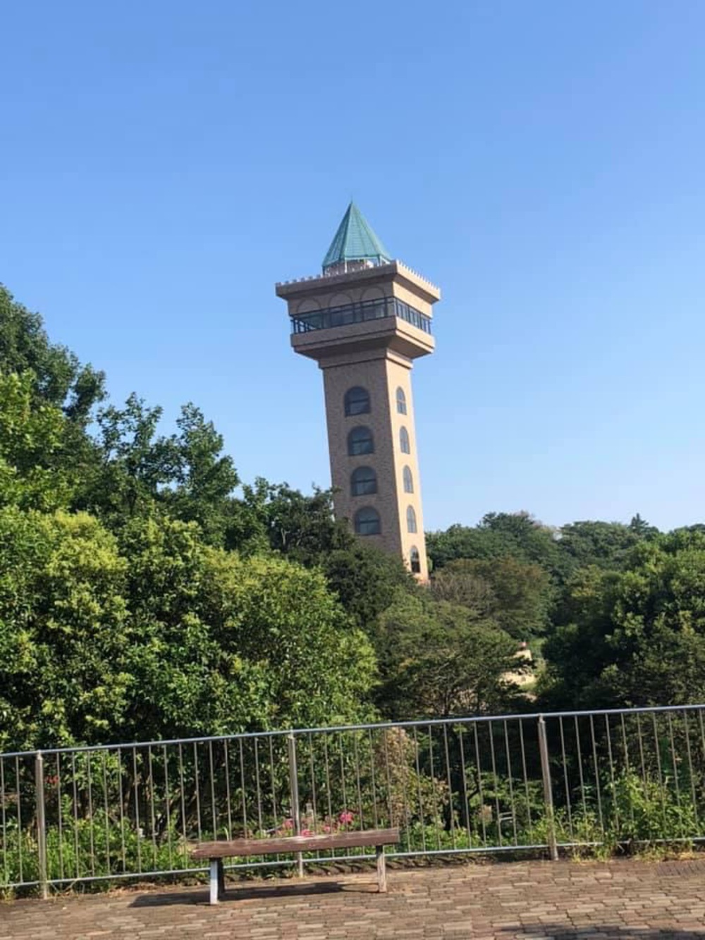 上溝〜県立相模原公園〜古淵の写真18