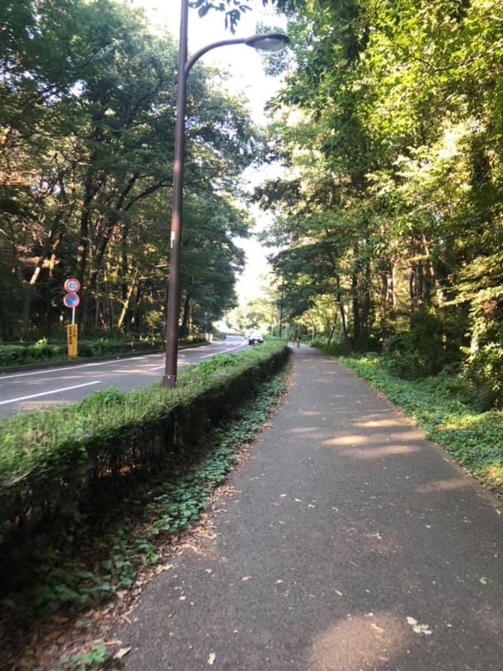 上溝〜県立相模原公園〜古淵の写真19