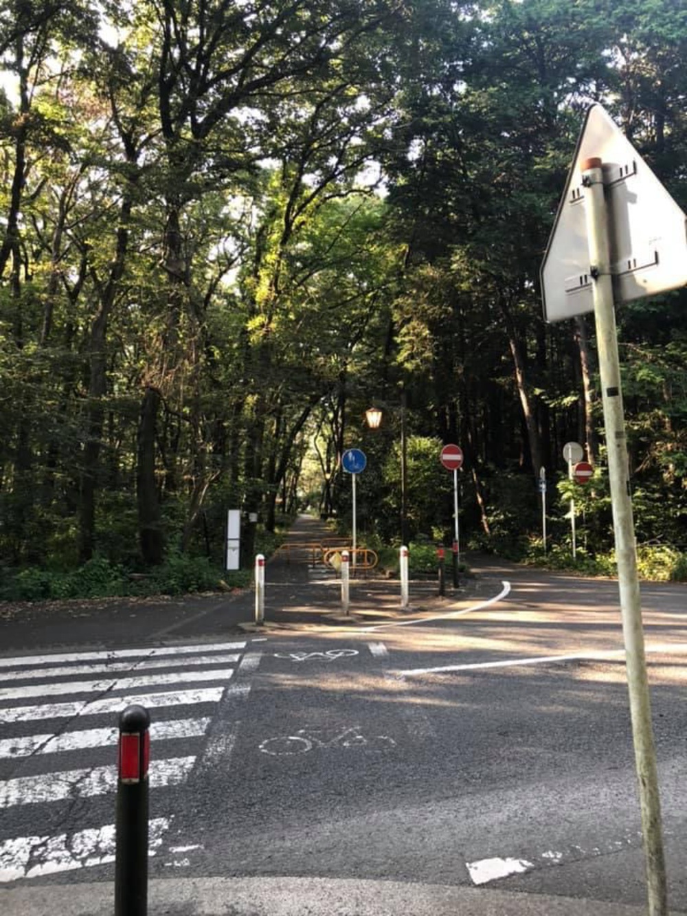 上溝〜県立相模原公園〜古淵の写真20