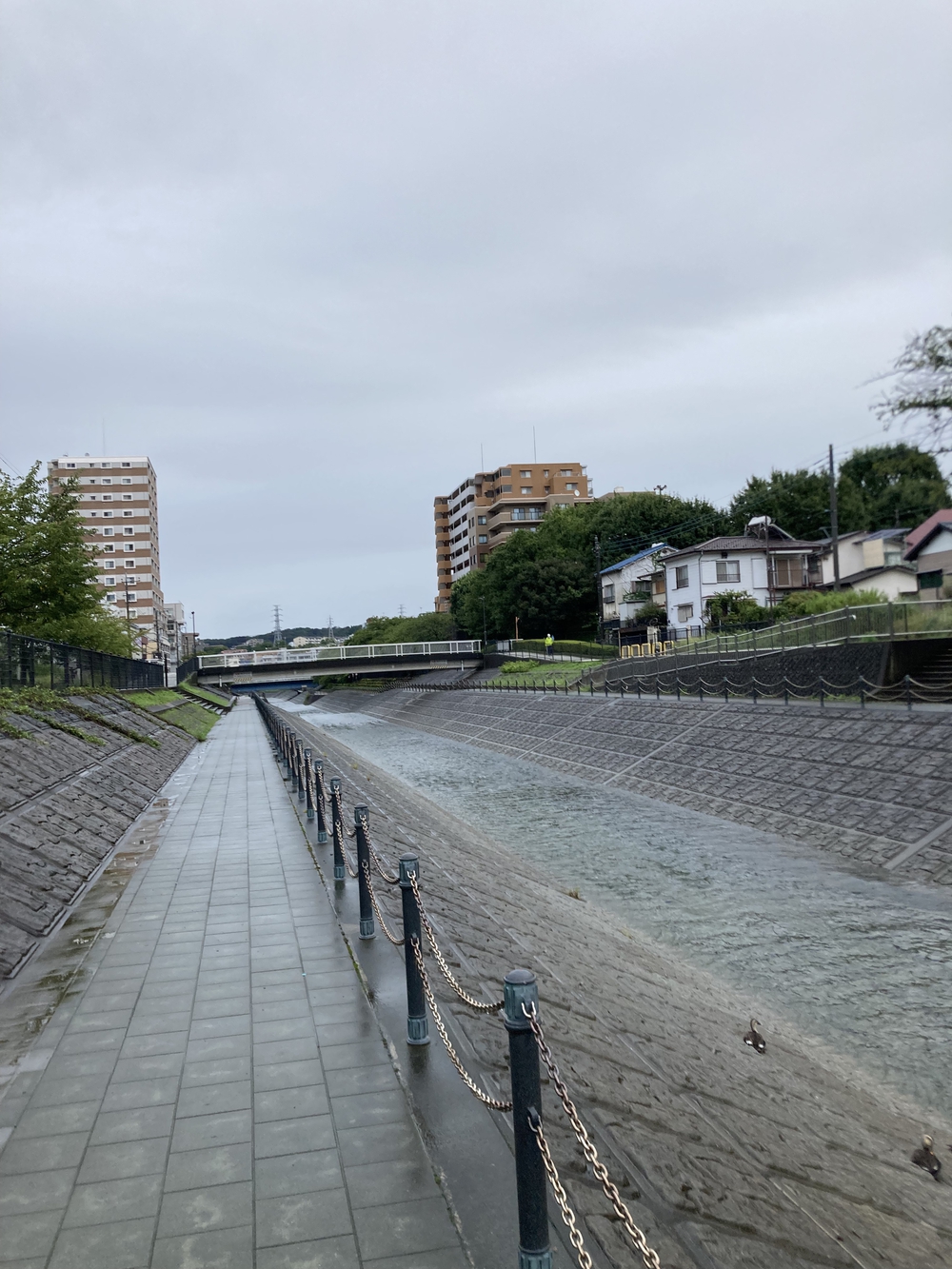 乞田川沿いを行くお手軽ラン♪の写真4