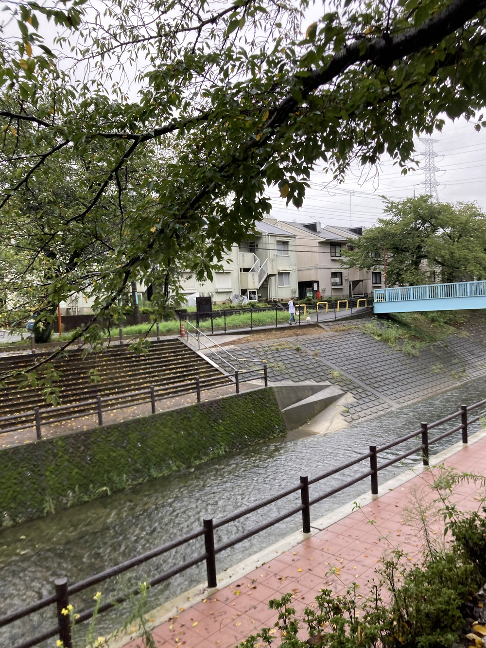 乞田川沿いを行くお手軽ラン♪の写真5