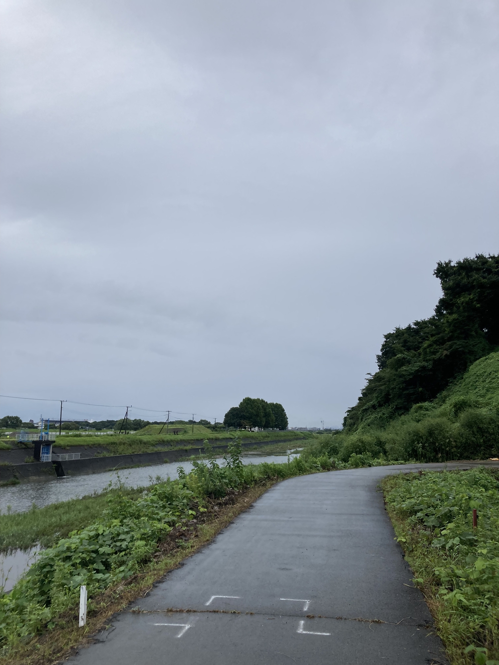 乞田川沿いを行くお手軽ラン♪の写真6