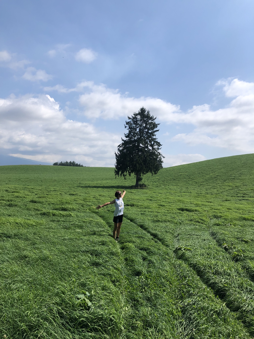 麓郷base40kmの写真4