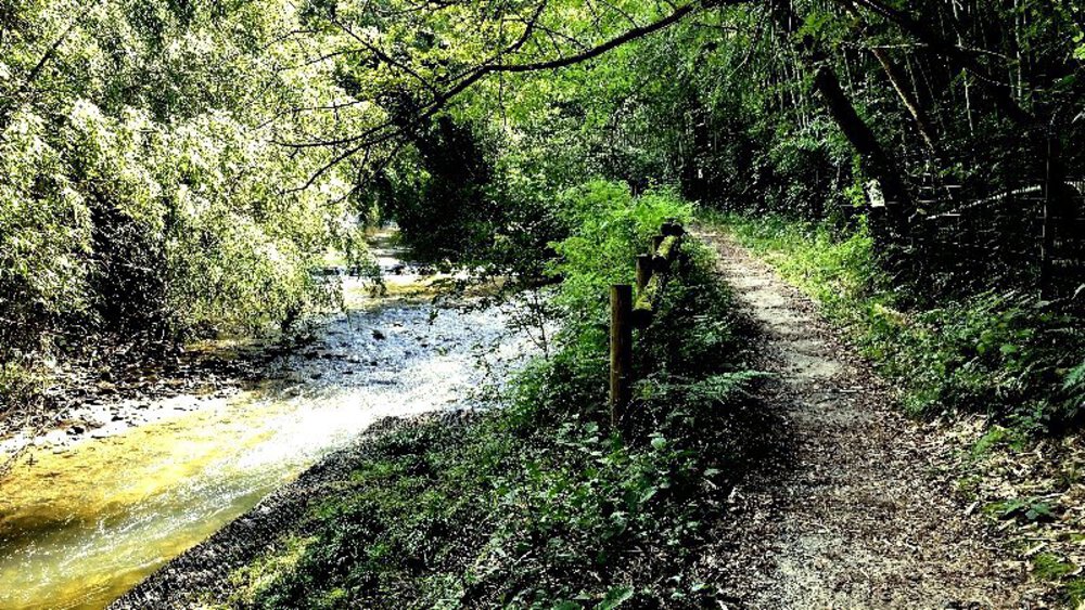 大阪府交野市の2大絶景スポットの写真6