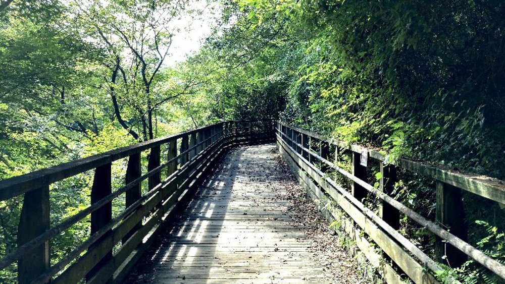 大阪府交野市の2大絶景スポットの写真7