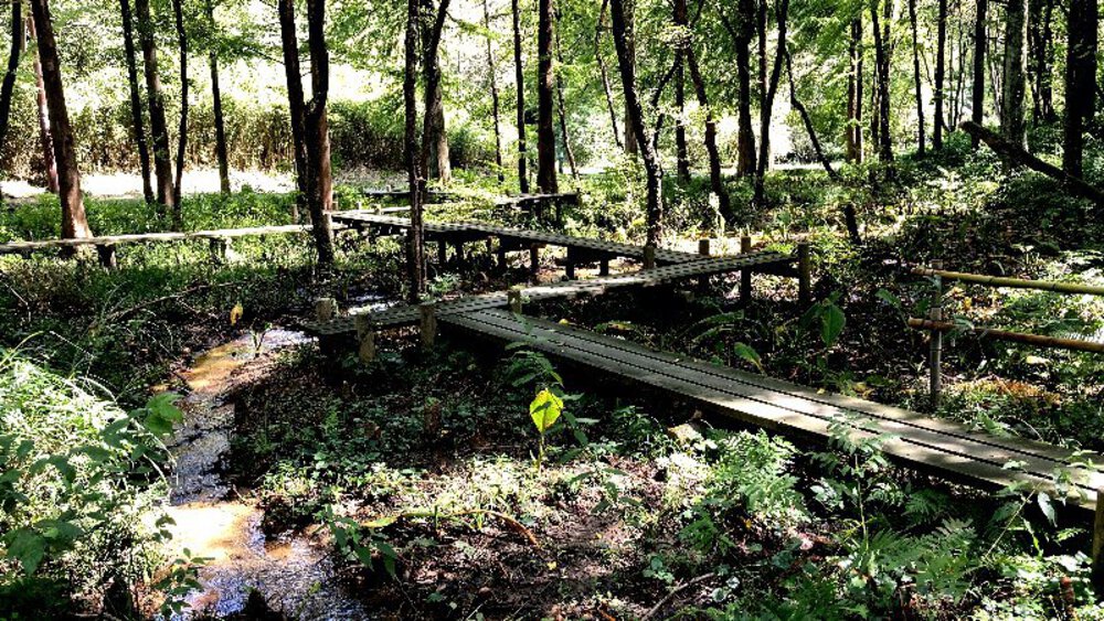 大阪府交野市の2大絶景スポットの写真16