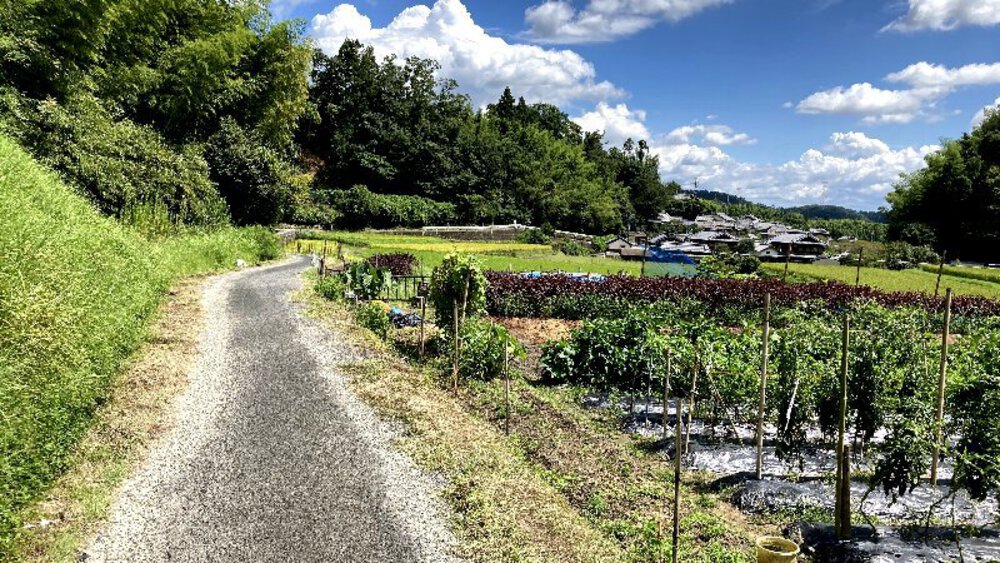 大阪府交野市の2大絶景スポットの写真17