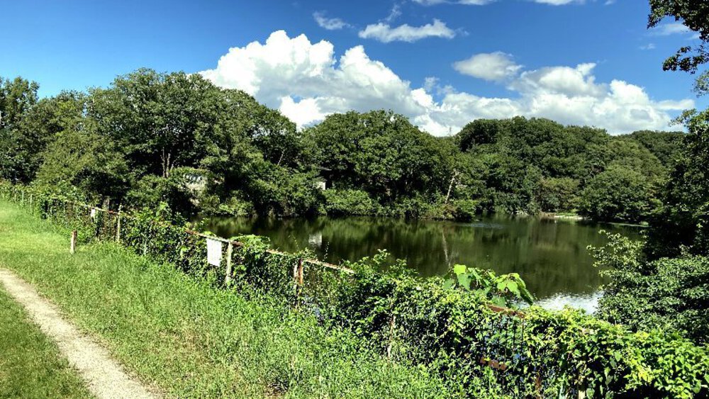 大阪府交野市の2大絶景スポットの写真20