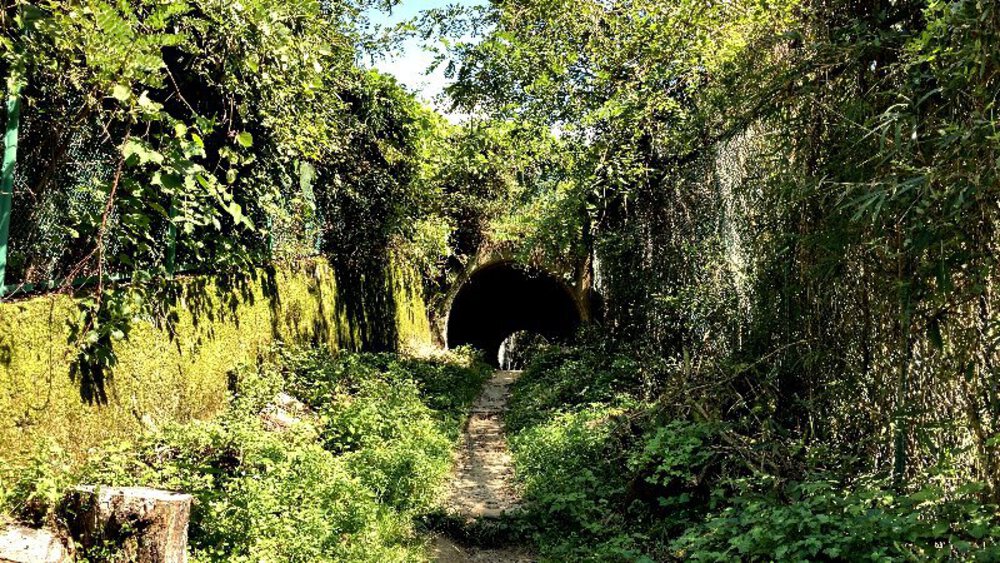 大阪府交野市の2大絶景スポットの写真21