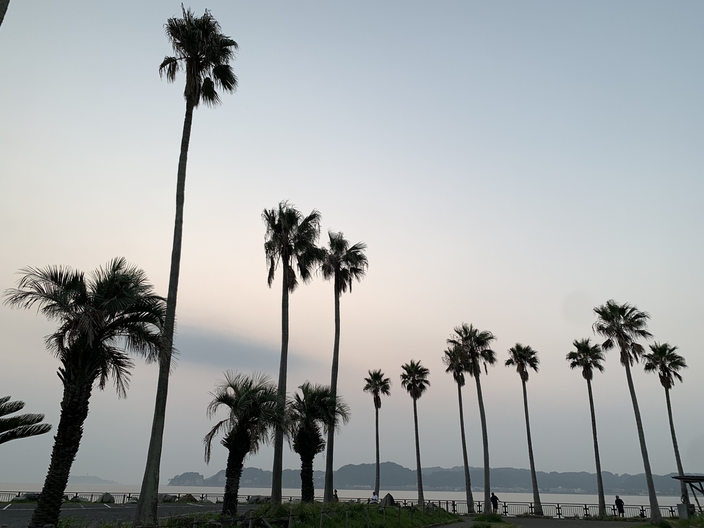 海あり山あり鎌倉ラン🏃‍♂️の写真3