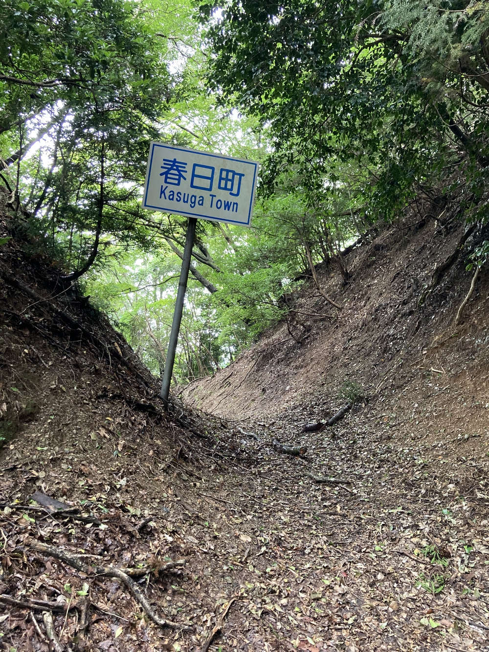 佐仲峠まで行って来ましたの写真3
