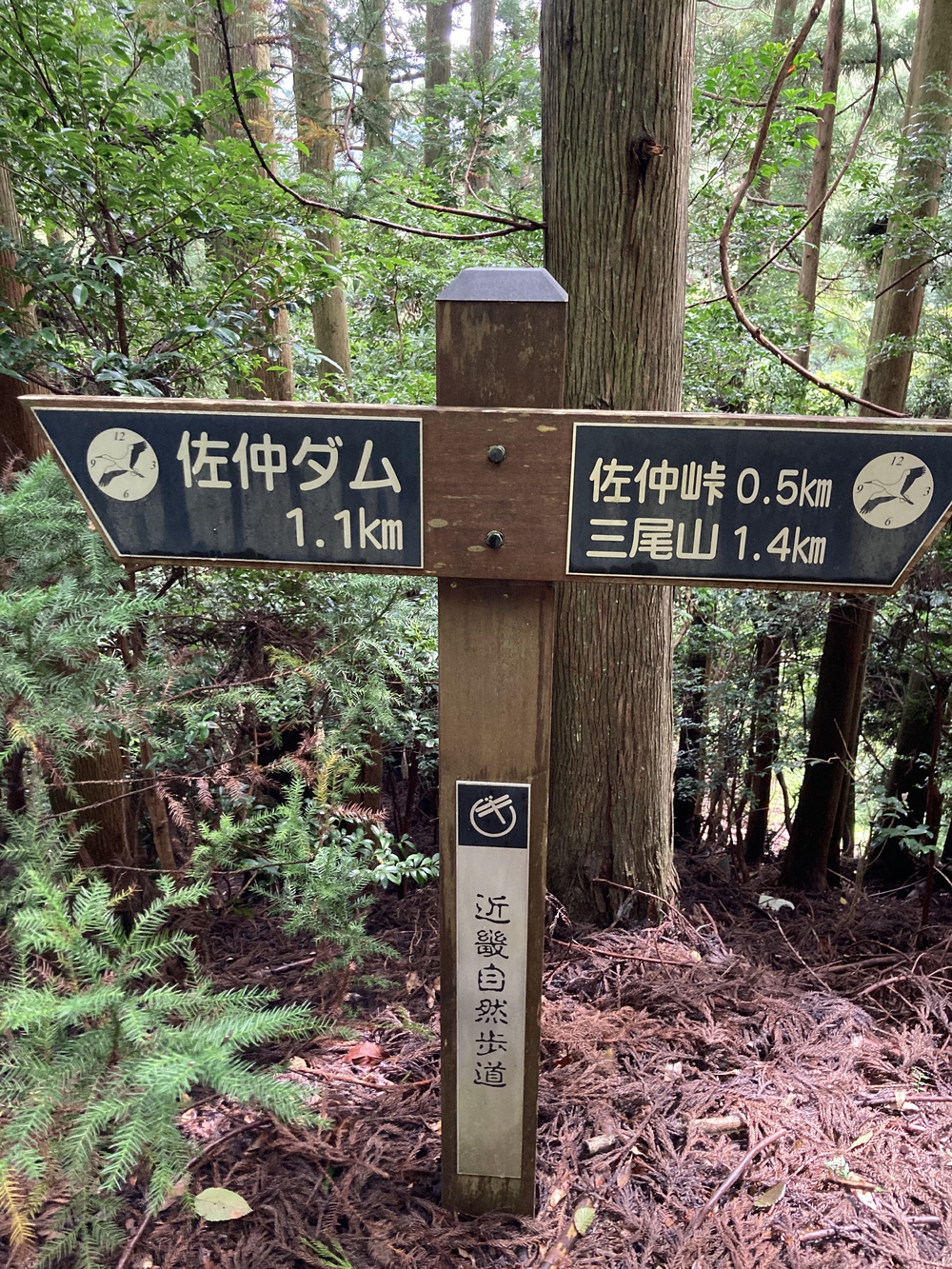 佐仲峠まで行って来ましたの写真4