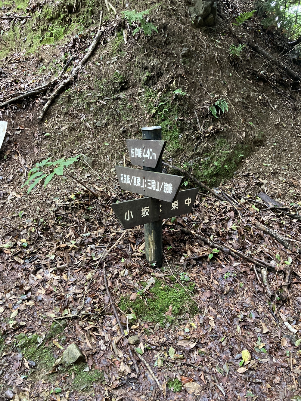 佐仲峠まで行って来ましたの写真5