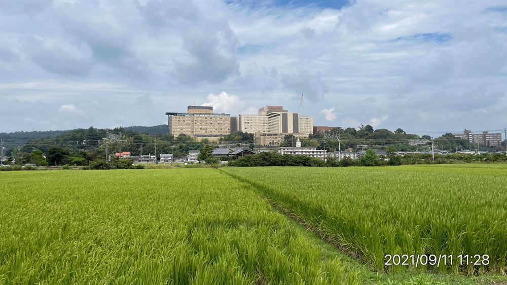 中庄駅 - 岡山ドーム 10kmの写真4