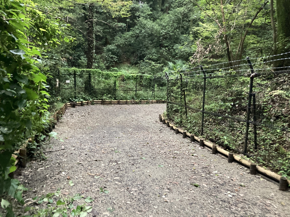 都会の田舎の写真4