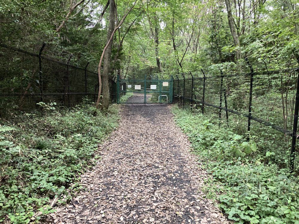 都会の田舎の写真6