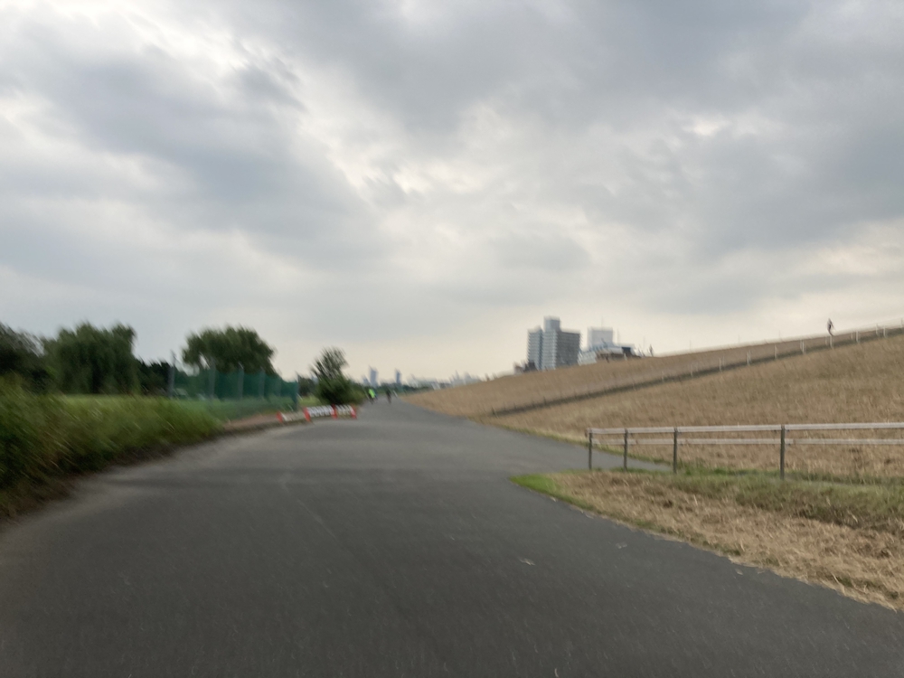 蓮根在住の為、板橋区シティマラソンコース往復10キロの写真3