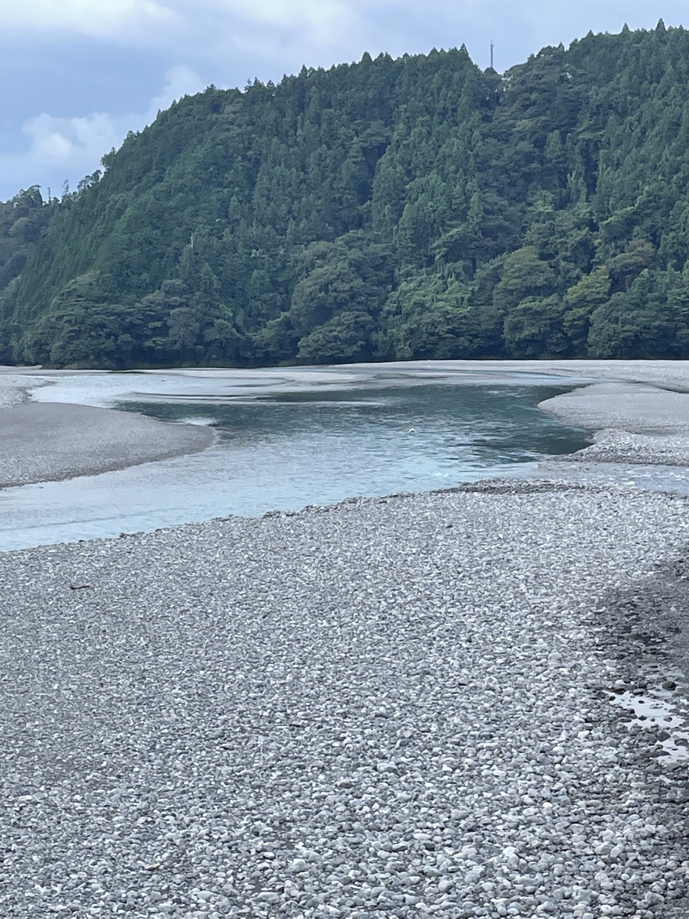 大井川鉄道秘境の旅ラン！門出駅〜奥大井湖上駅の写真4