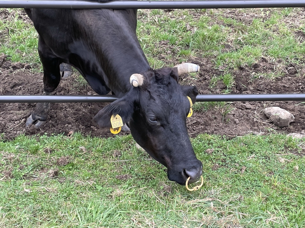 蓼科クロカンコースの写真8