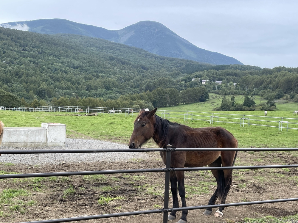 蓼科クロカンコースの写真9