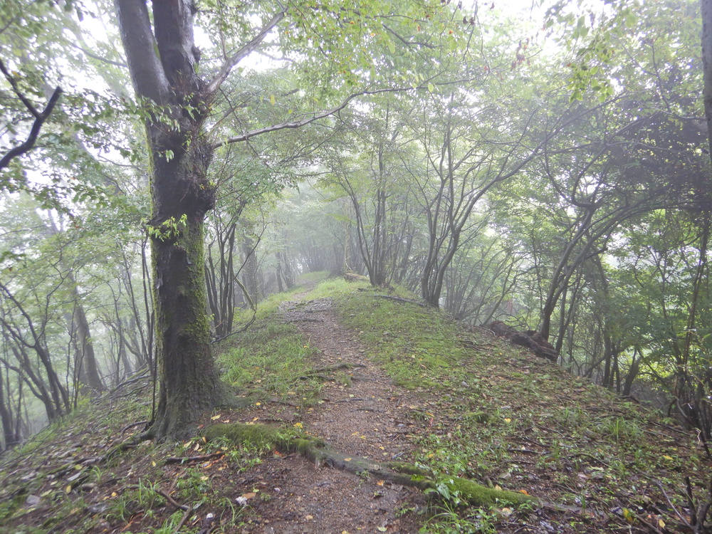 ときがわ町の峠巡りの写真4