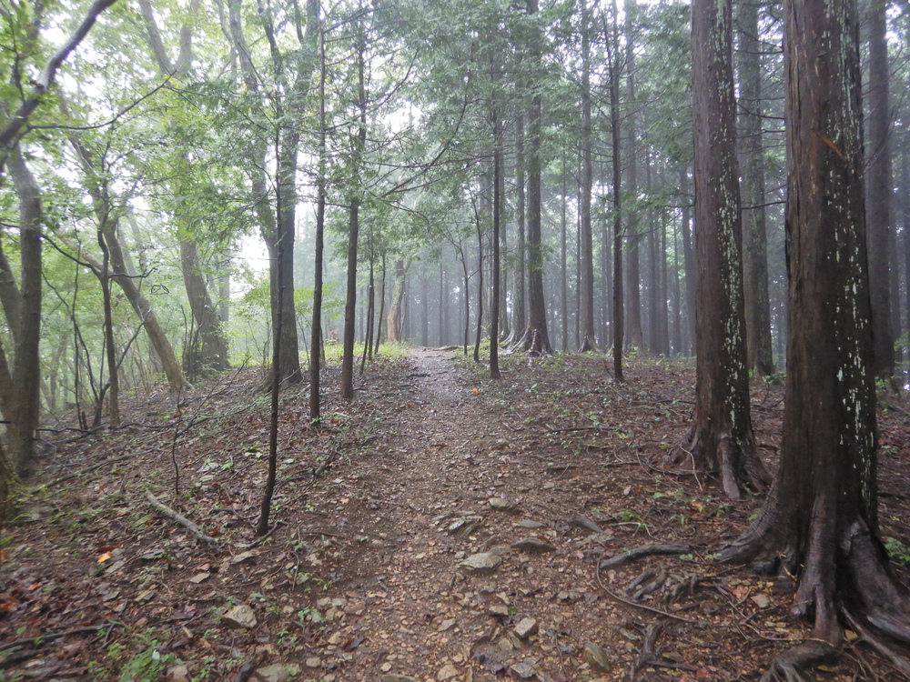 ときがわ町の峠巡りの写真5