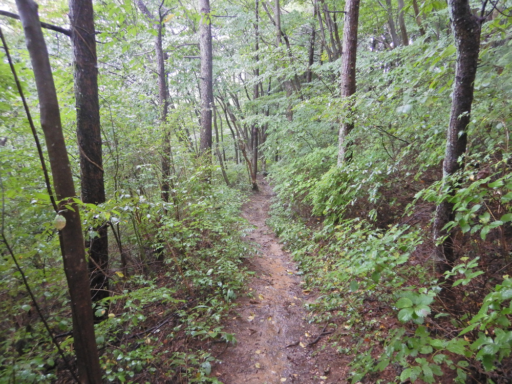 ときがわ町の峠巡りの写真10