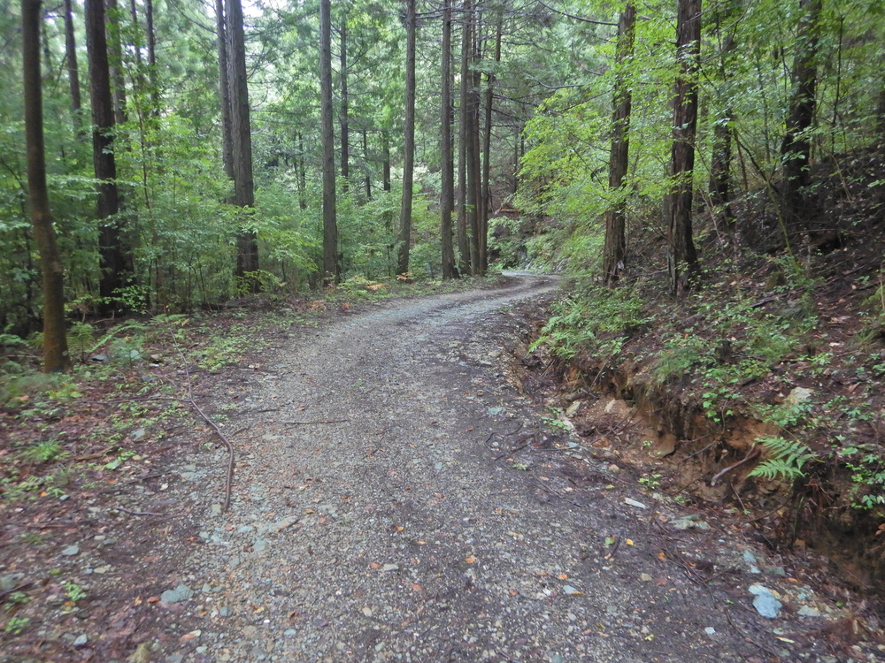 ときがわ町の峠巡りの写真15