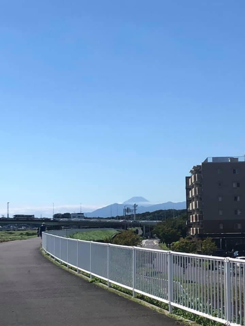 元住吉〜綱島〜鶴見川〜市ヶ尾〜都築緑道〜尻手黒川ぐるっとコースの写真4