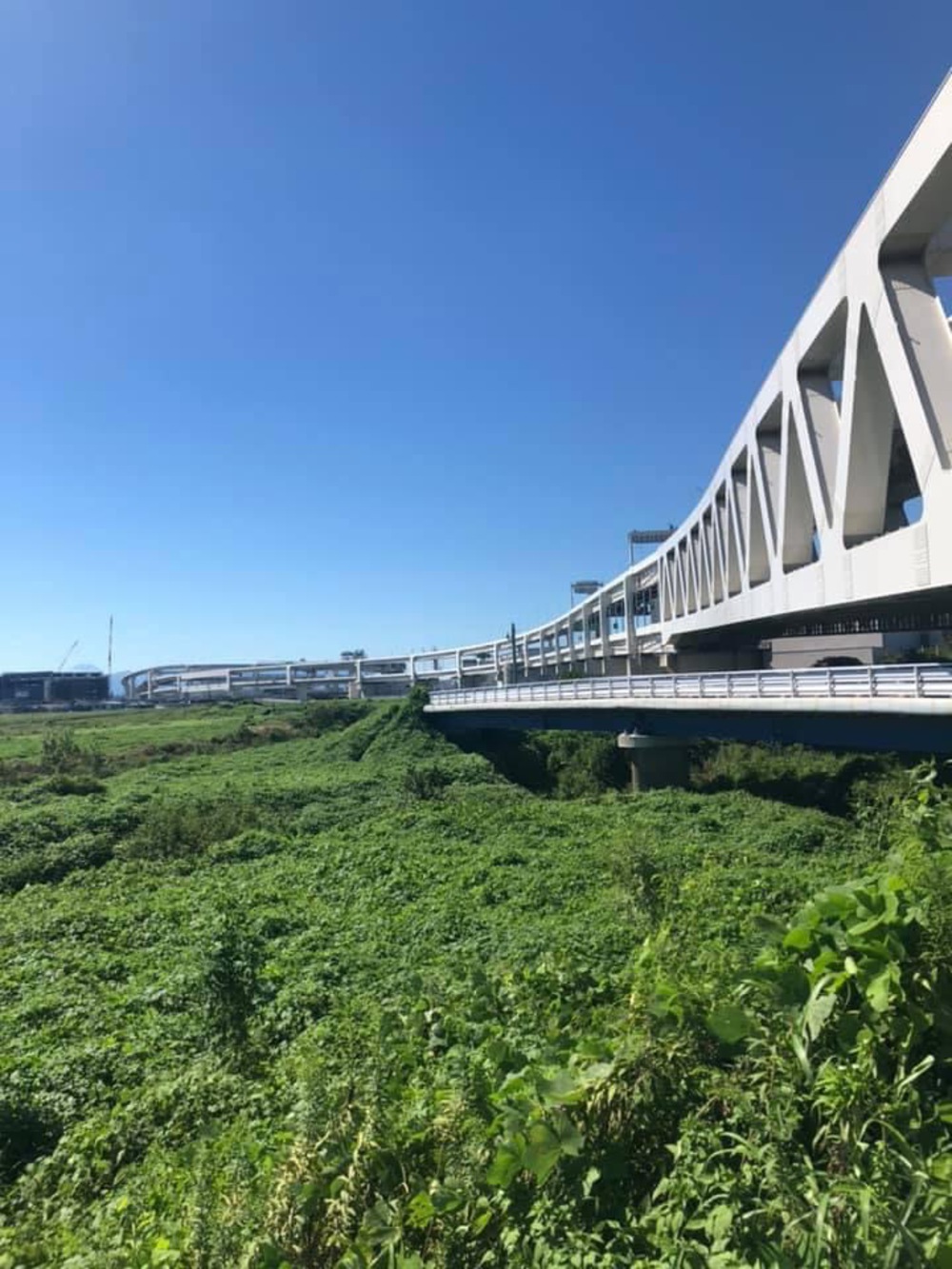 元住吉〜綱島〜鶴見川〜市ヶ尾〜都築緑道〜尻手黒川ぐるっとコースの写真6