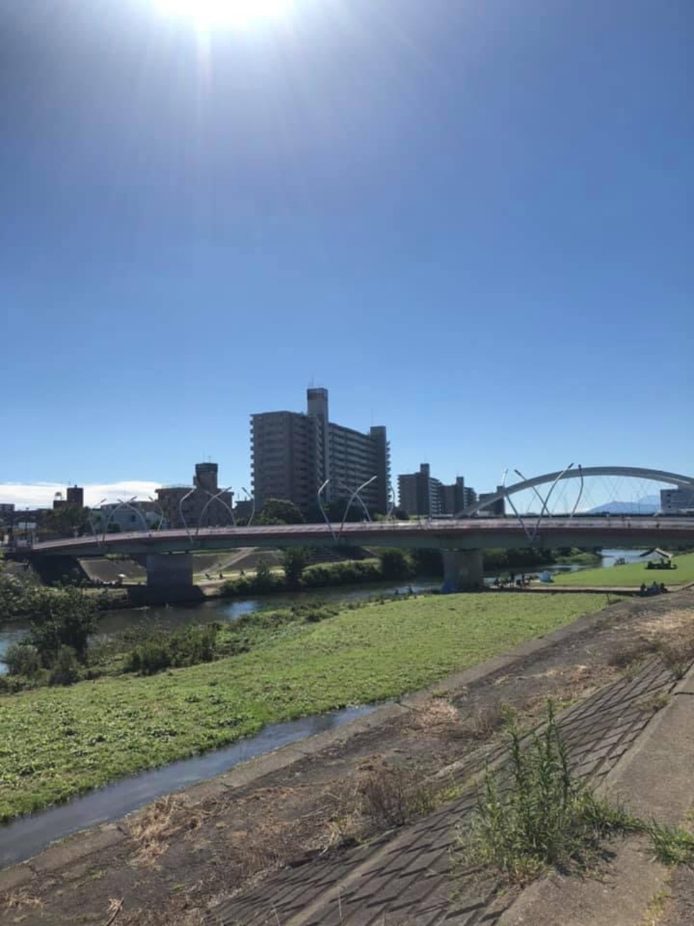 元住吉〜綱島〜鶴見川〜市ヶ尾〜都築緑道〜尻手黒川ぐるっとコースの写真8