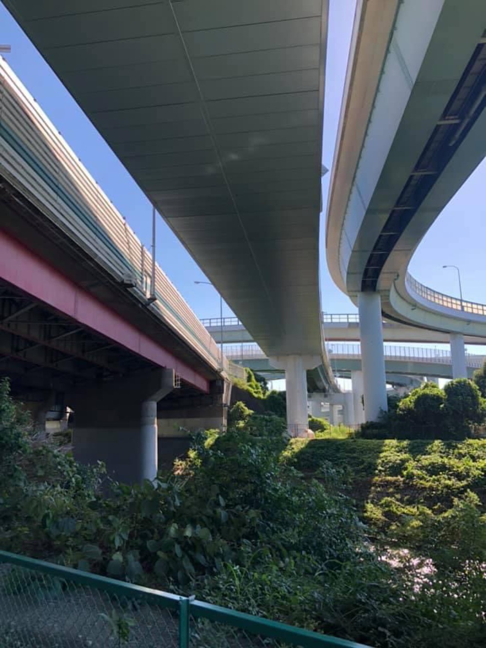 元住吉〜綱島〜鶴見川〜市ヶ尾〜都築緑道〜尻手黒川ぐるっとコースの写真12