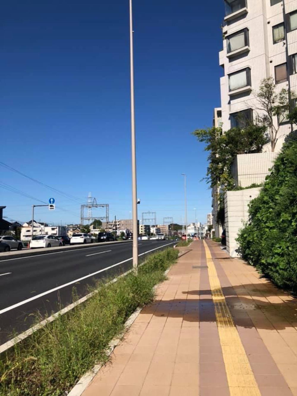 元住吉〜綱島〜鶴見川〜市ヶ尾〜都築緑道〜尻手黒川ぐるっとコースの写真13