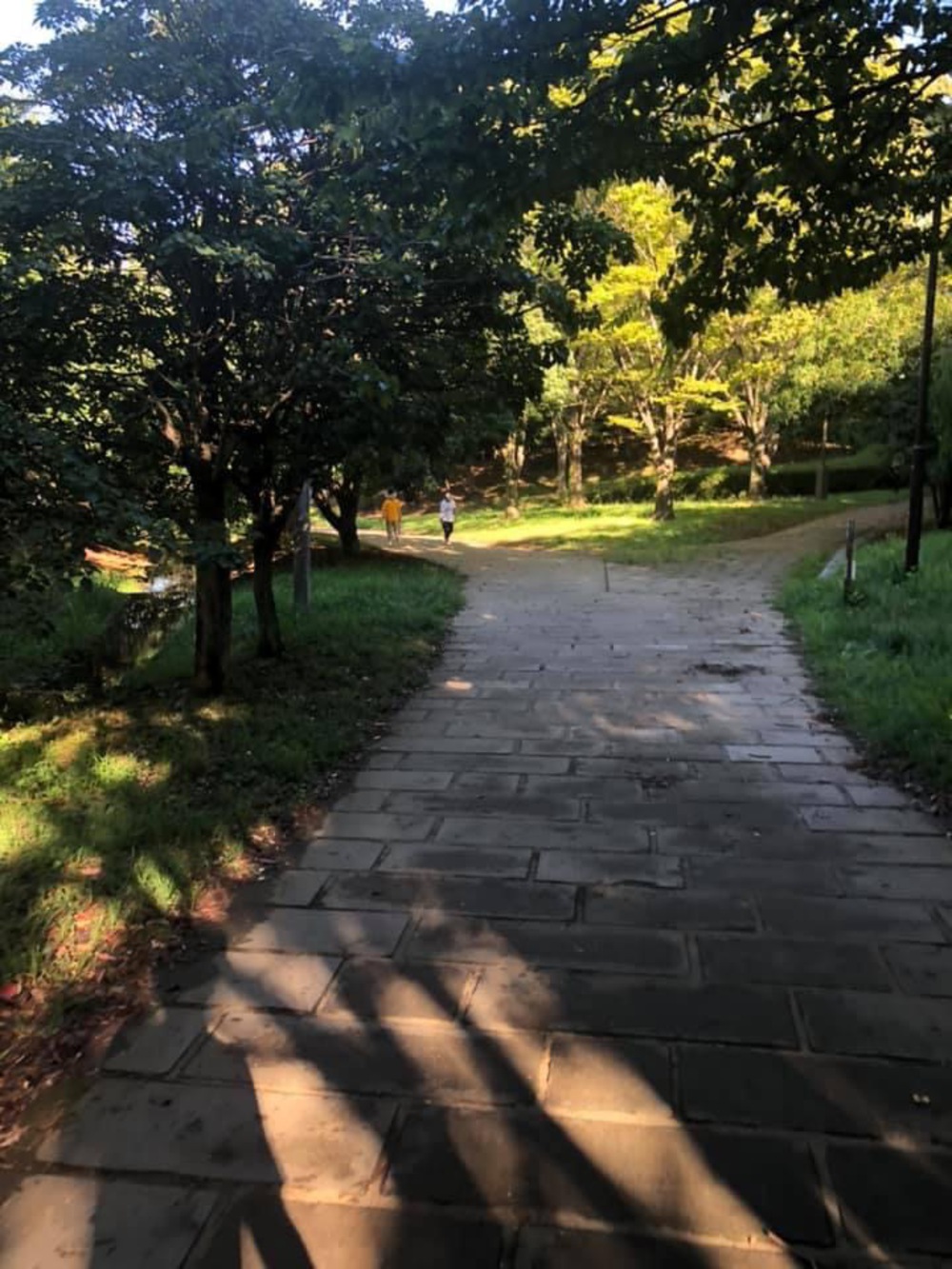 元住吉〜綱島〜鶴見川〜市ヶ尾〜都築緑道〜尻手黒川ぐるっとコースの写真14