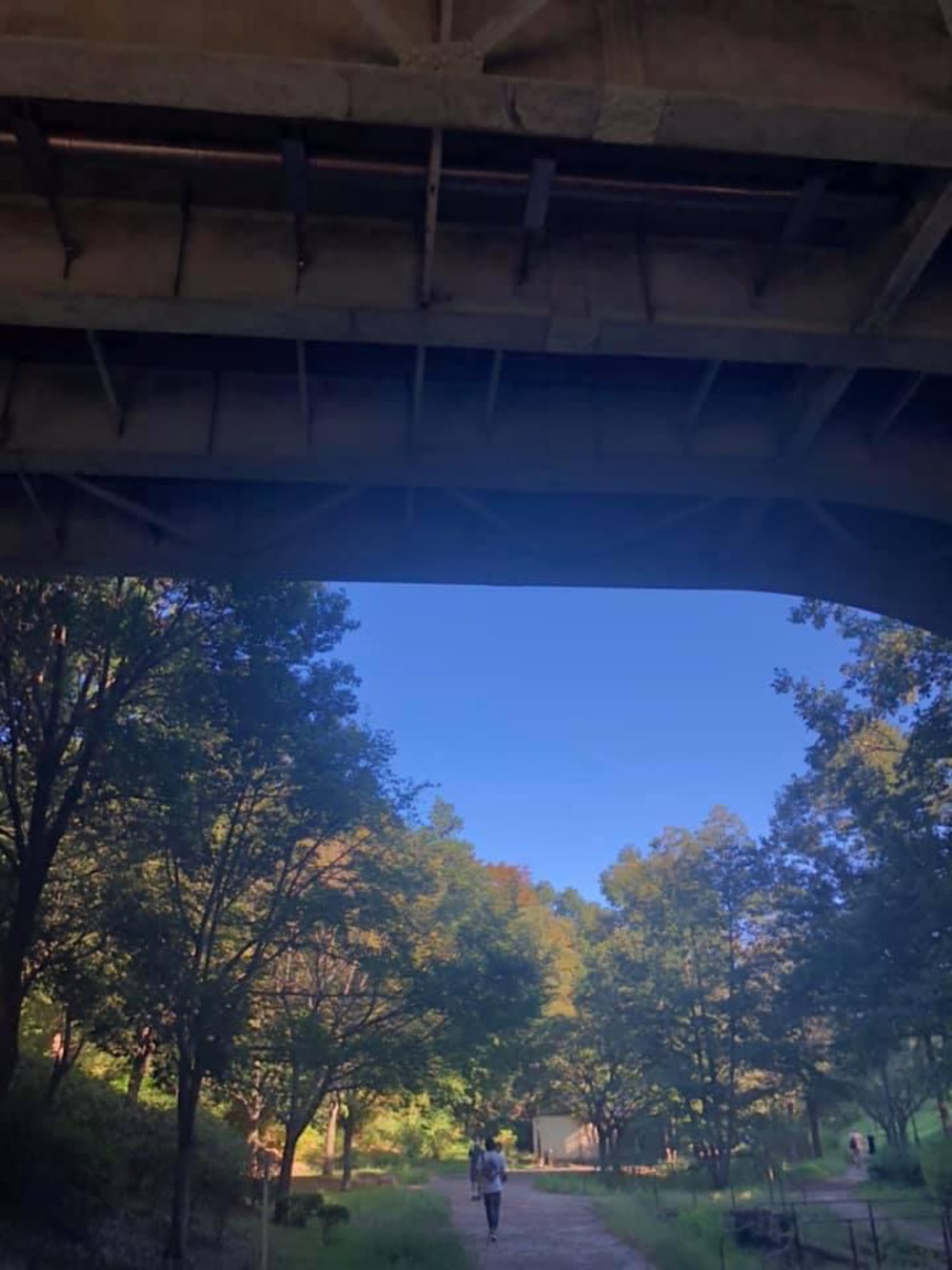 元住吉〜綱島〜鶴見川〜市ヶ尾〜都築緑道〜尻手黒川ぐるっとコースの写真15