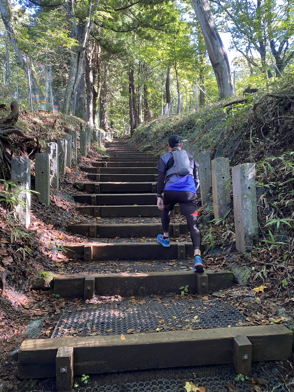 男体山（二荒山神社中宮祠〜山頂往復）の写真5