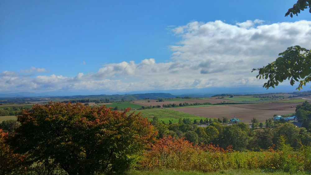 感動の絶景続きコース✨の写真5