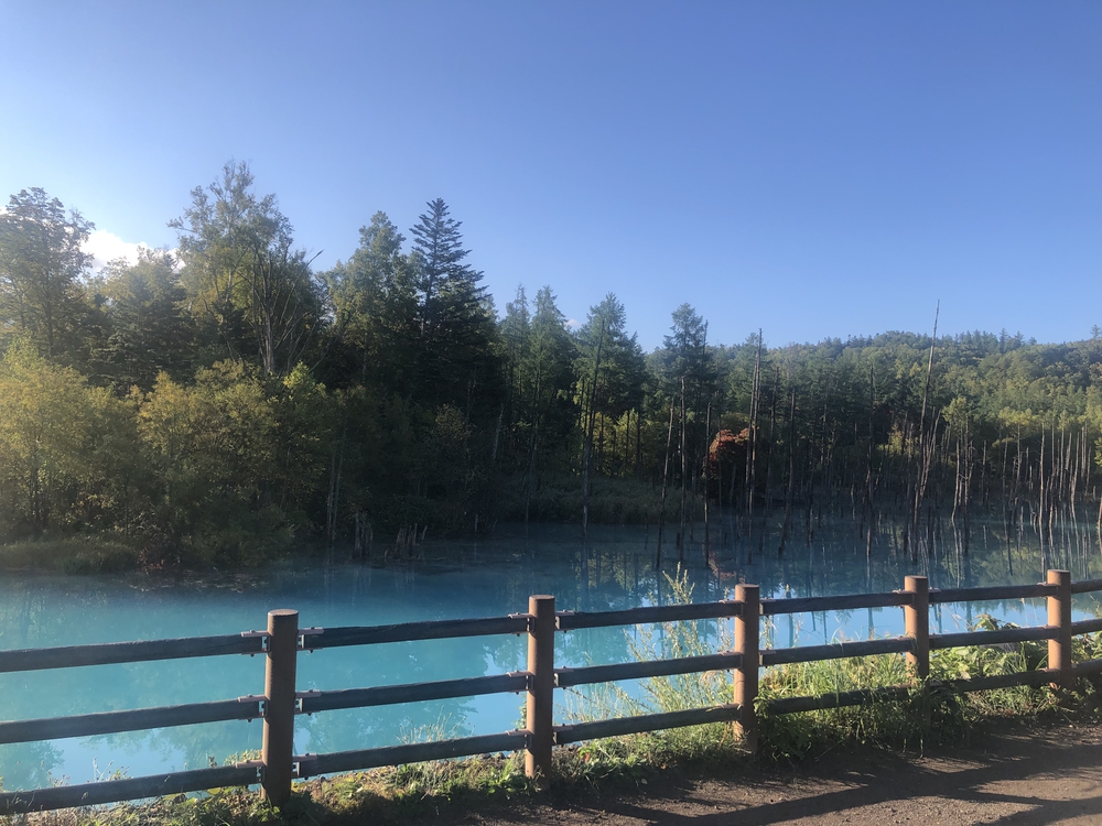 感動の絶景続きコース✨の写真6