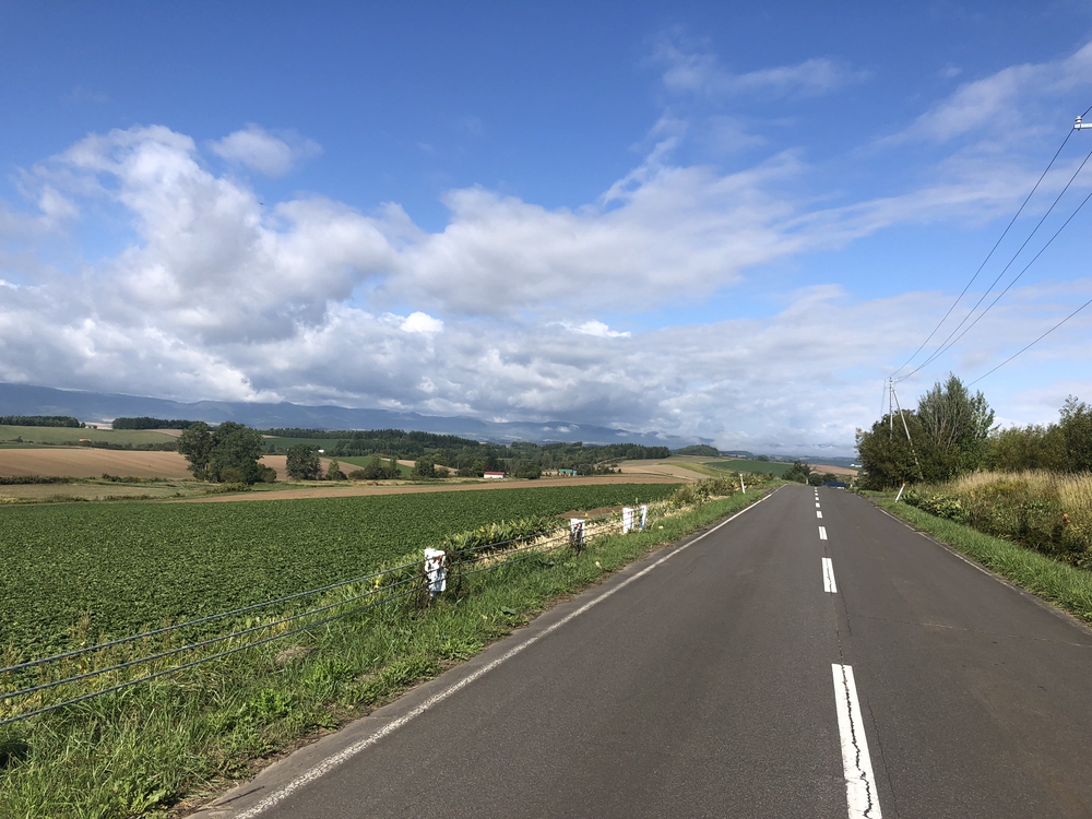 感動の絶景続きコース✨の写真9
