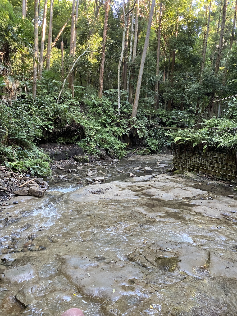 早朝の横浜でアート劇坂渓谷温泉の写真3