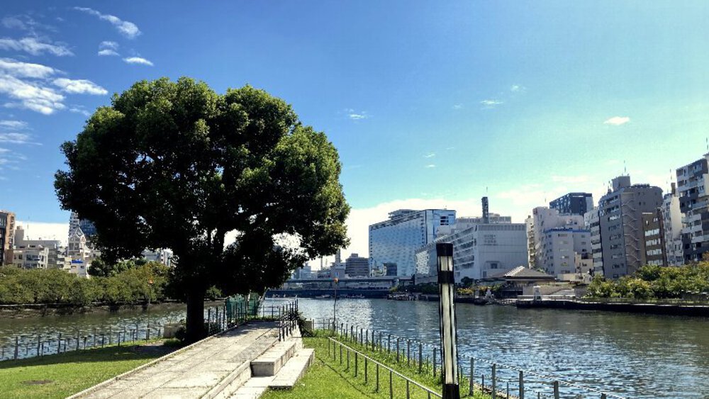 中之島の『橋』をとことん楽しむの写真8