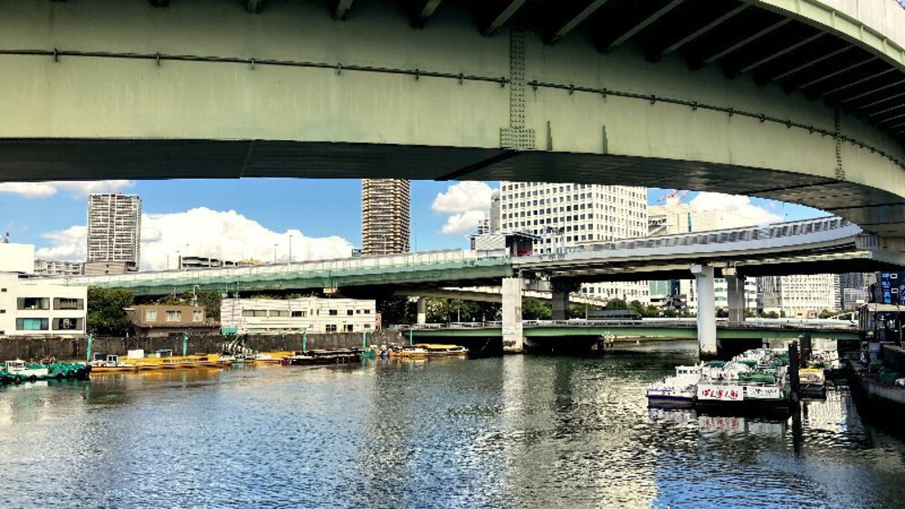 中之島の『橋』をとことん楽しむの写真31