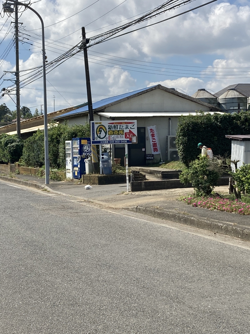 横浜西部の自然を感じる約６kmコースの写真3