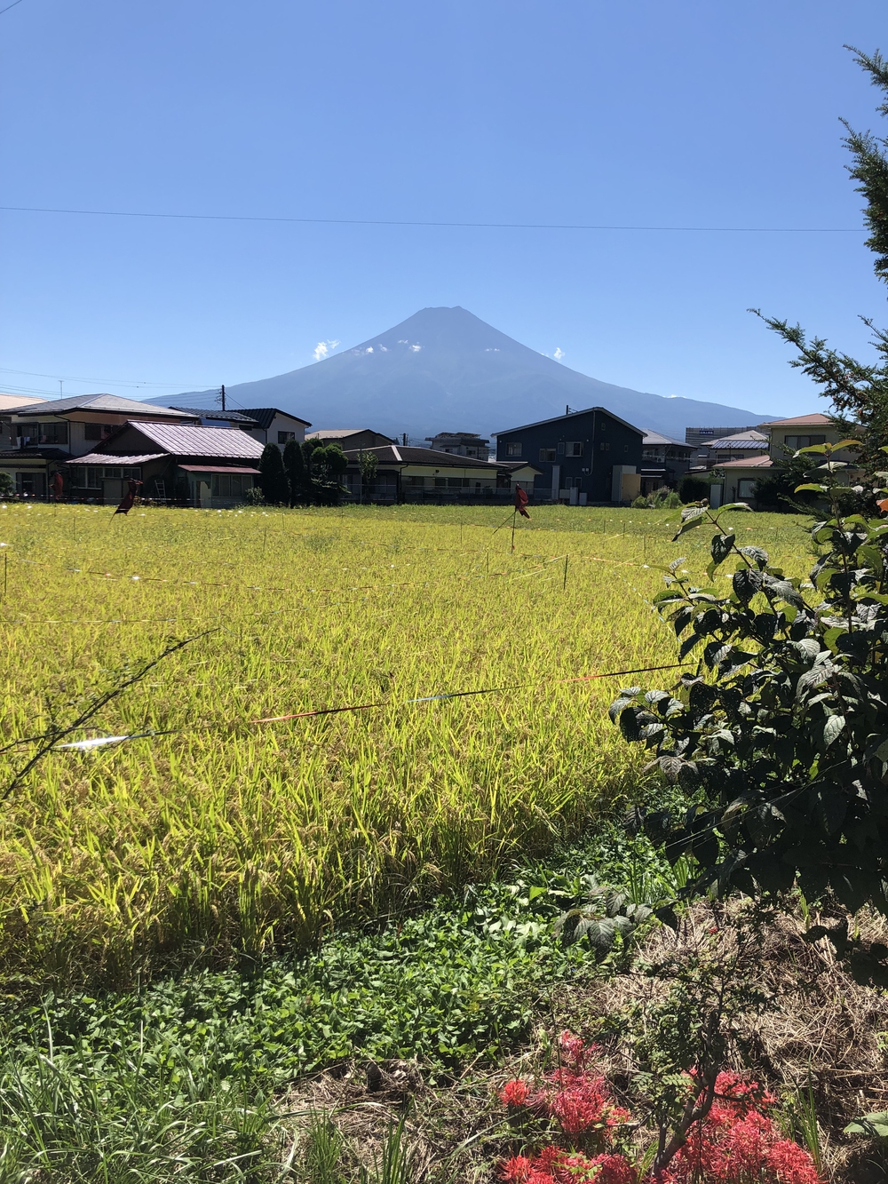 富士吉田ダラダラ登り下りで温泉ゴール23キロの写真3
