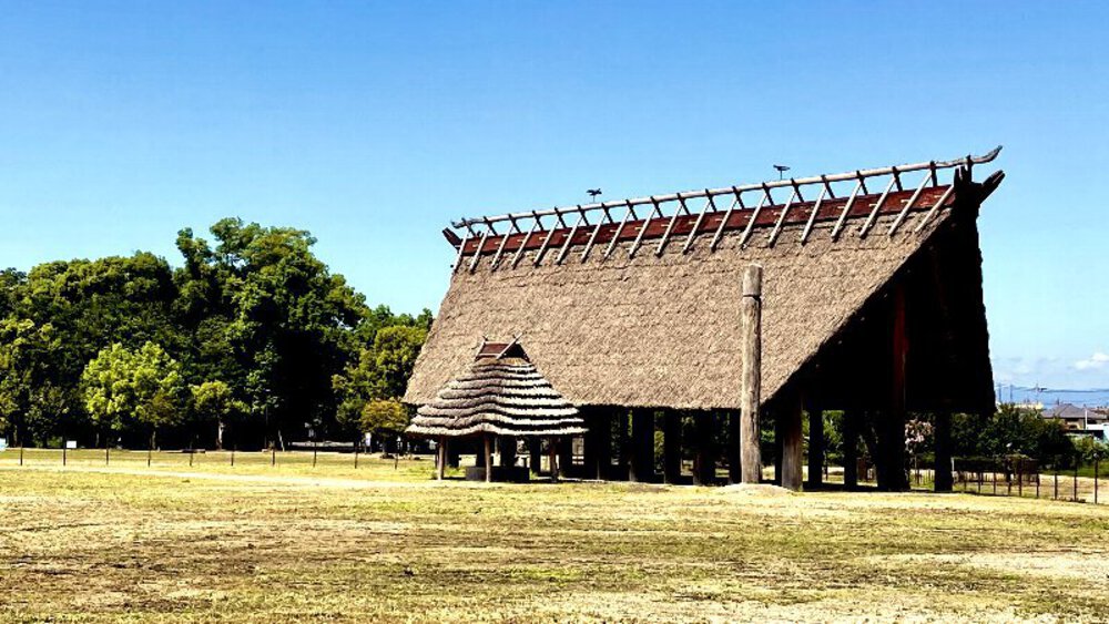 【城ラン】岸和田城▶▶▶大阪城の写真6